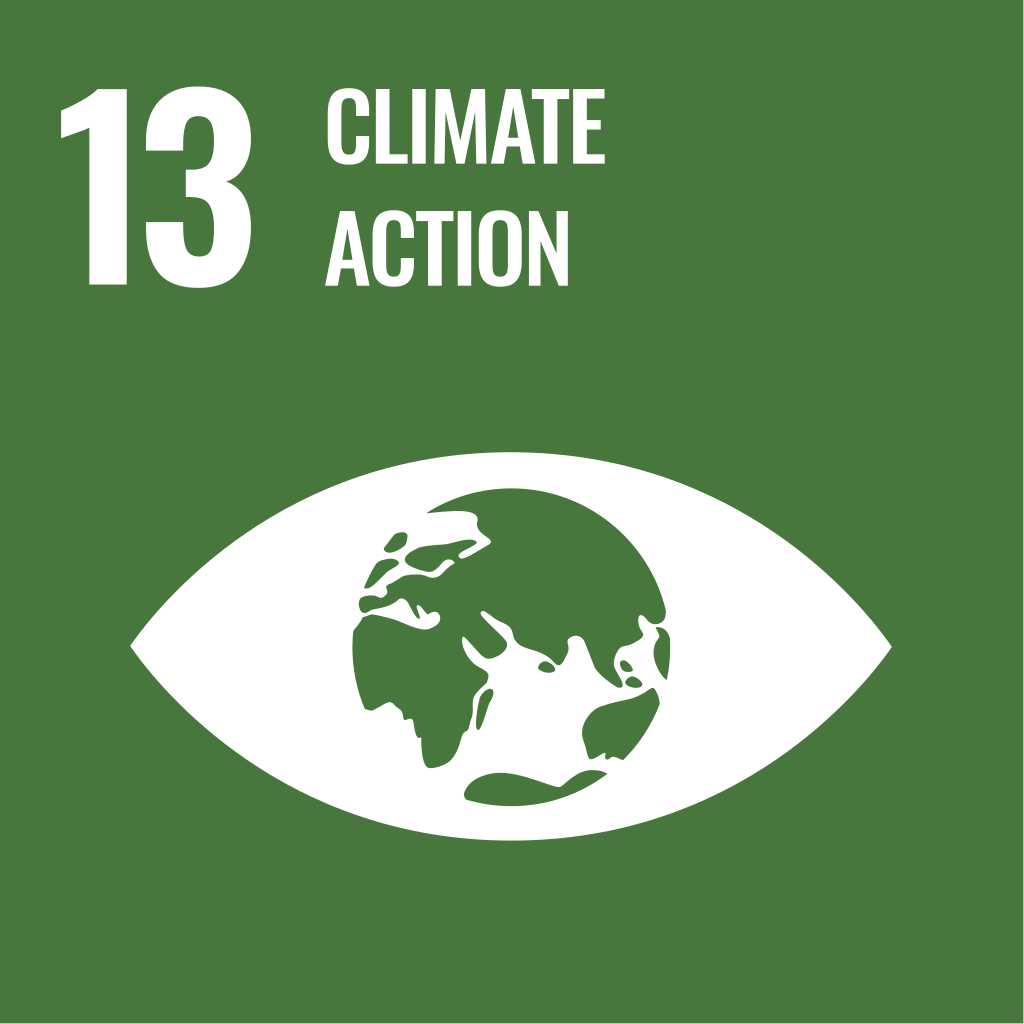 Logo image of SDG 13