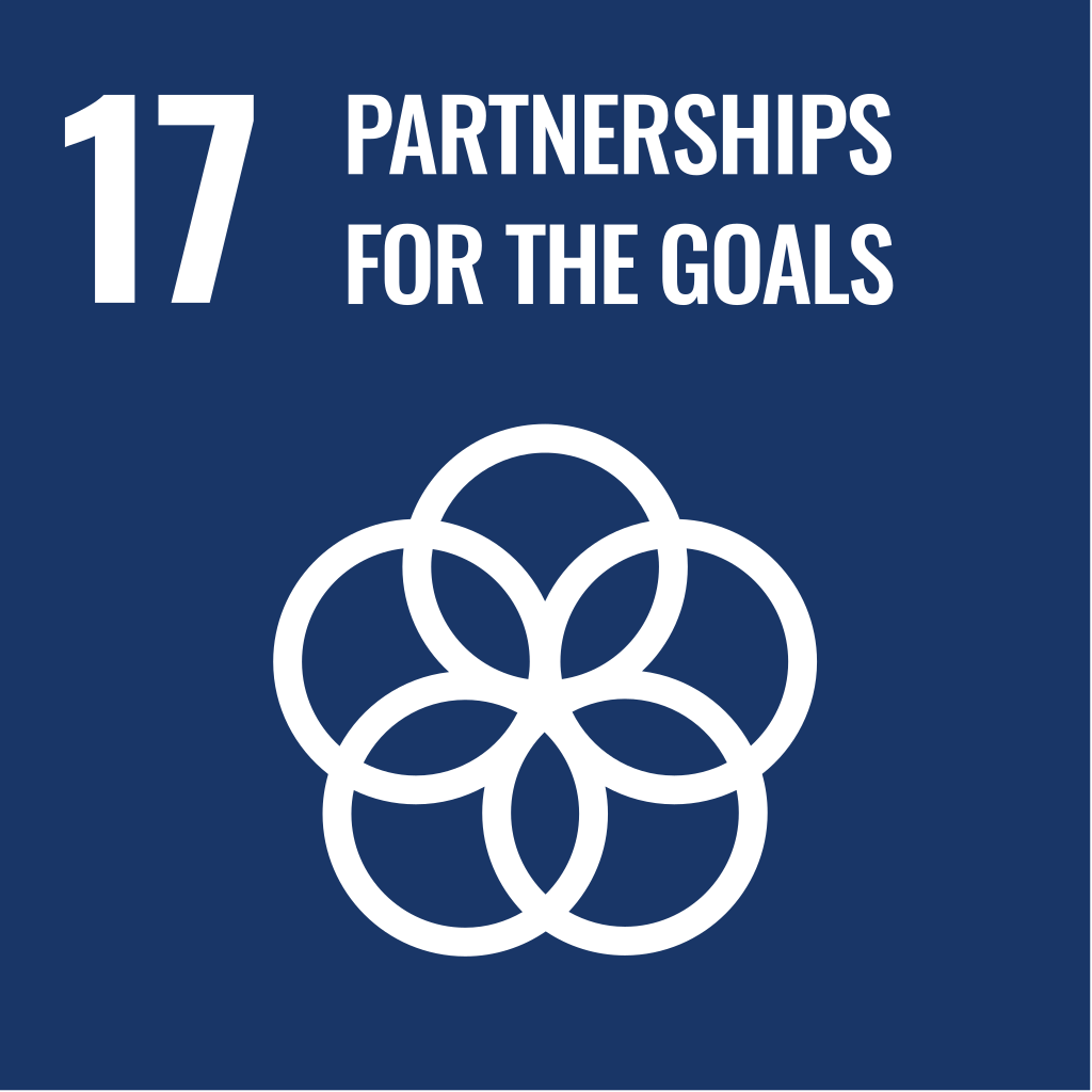 Logo image of SDG 17