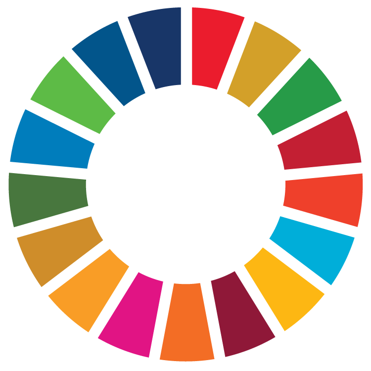 Sustainable Development Goals Wheel Icon